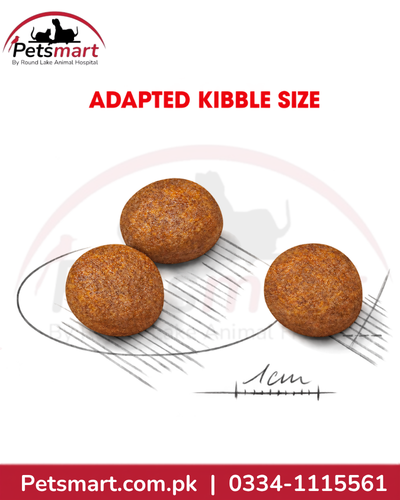 Royal Canin Maxi Puppy adapted round kibble size for large breed puppies