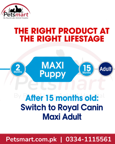 Royal Canin Maxi Puppy feeding stage from puppy growth to Maxi Adult after 15 months