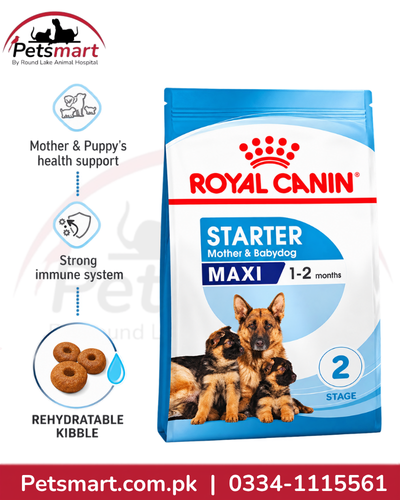 Royal Canin Maxi Starter health support for large breed mother dogs and puppies