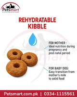 Royal Canin Maxi Starter rehydratable kibble for weaning large breed puppies