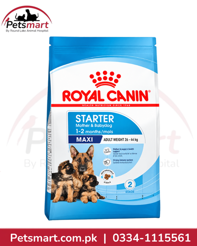 Royal Canin Maxi Starter Mother & Babydog Large Breed Dog Food – 4kg