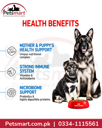 Royal Canin Maxi Starter Mother and Babydog 15kg food for large breed mothers and weaning puppies