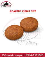 Royal Canin Medium Adult adapted kibble size for medium breed adult dogs