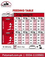 Royal Canin Medium Adult 4kg daily feeding guide by dog weight and activity level