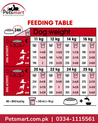 Royal Canin Medium Adult 4kg daily feeding guide by dog weight and activity level