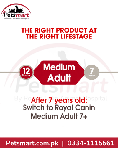 Royal Canin Medium Adult life stage guide from 12 months to 7 years