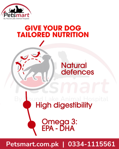 Royal Canin Medium Adult dry dog food with natural defence support and adapted kibble size