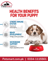 Royal Canin Medium Puppy nutrition for developing immune digestive and learning needs