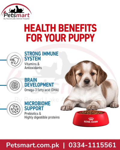Royal Canin Medium Puppy nutrition for developing immune digestive and learning needs