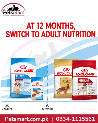 Royal Canin Medium Puppy life stage guide showing transition to adult nutrition at 12 months