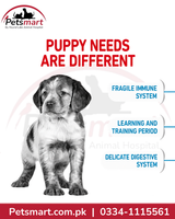 Royal Canin Medium Puppy nutrition for developing immune digestive and learning needs