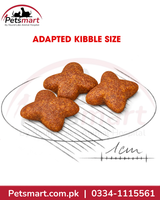 Adapted Royal Canin Mini Adult kibble for small breed adult dogs