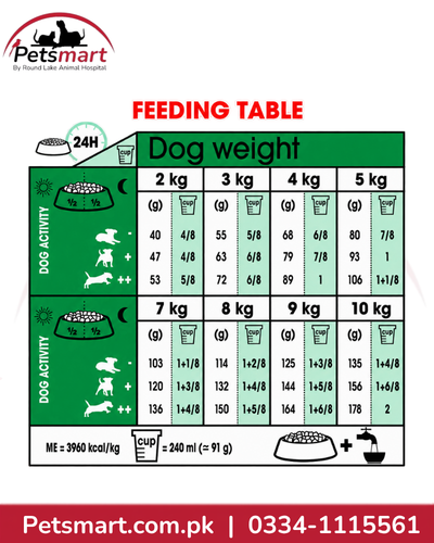 Royal Canin Mini Adult 4kg daily feeding guide by dog weight and activity level
