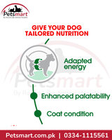 Royal Canin Mini Adult adapted energy enhanced palatability and coat condition benefits