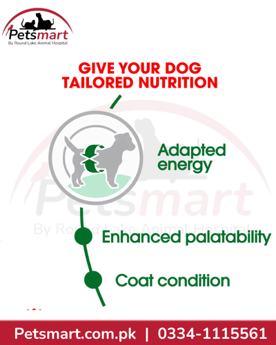 Royal Canin Mini Adult adapted energy enhanced palatability and coat condition benefits