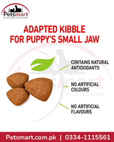 Royal Canin Mini Puppy 4kg adapted kibble designed for small puppy jaws