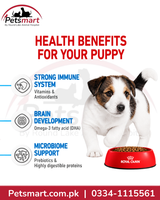 Royal Canin Mini Puppy 4kg benefits for immune system brain development and microbiome support
