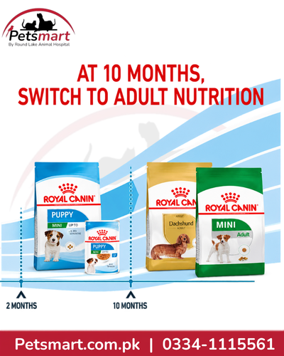 Royal Canin Mini Puppy life stage guide showing transition to adult nutrition at 10 months