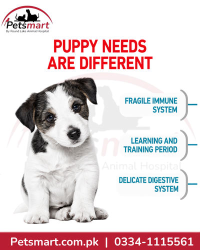 Royal Canin Mini Puppy nutrition for developing immune digestive and learning needs