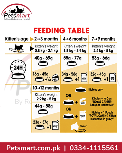 Royal Canin Persian Kitten feeding guide for kittens from 2 to 12 months
