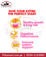 Royal Canin Persian Kitten benefits for healthy growth long hair digestion and immune support