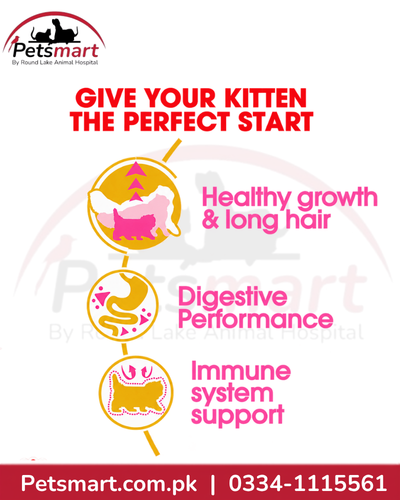 Royal Canin Persian Kitten benefits for healthy growth long hair digestion and immune support
