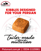 Royal Canin Persian Kitten tailor-made rectangular kibble for a Persian kitten's jaw