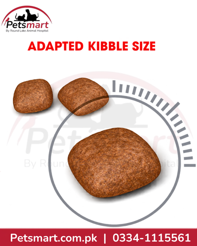 Royal Canin Urinary Care adapted dry cat food kibble