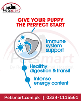 Royal Canin X-Small Puppy formula supporting the developing immune system
