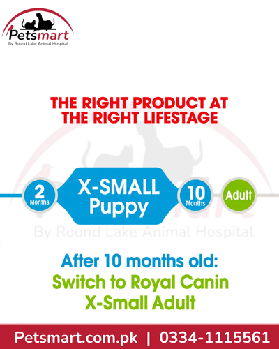 Royal Canin X-Small Puppy life stage from 2 to 10 months before transition to X-Small Adult