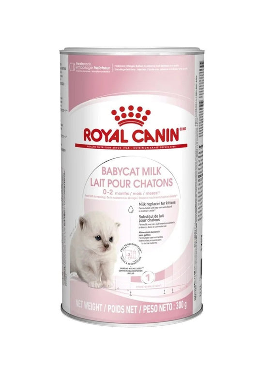 royal canin cat baby milk 300g