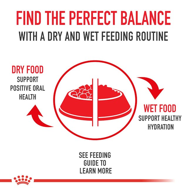 Royal Canin Medium Breed Adult Dry Dog Food
