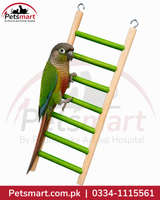 A green and light wood parrot ladder perch with metal hanging rings, shown with a green and red parrot perched on it against a white background with Petsmart branding.