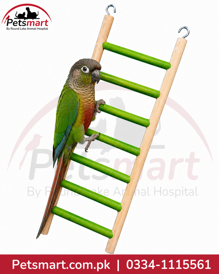 A green and light wood parrot ladder perch with metal hanging rings, shown with a green and red parrot perched on it against a white background with Petsmart branding.