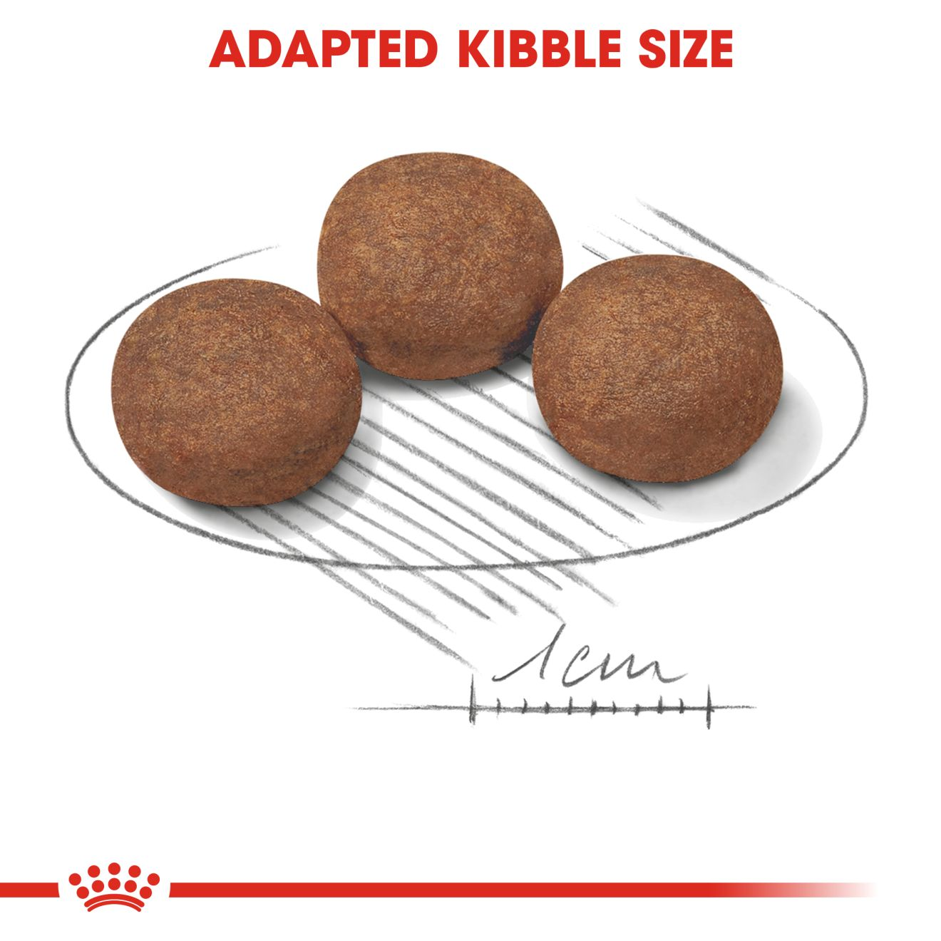 Royalcanin Medium Puppy Food