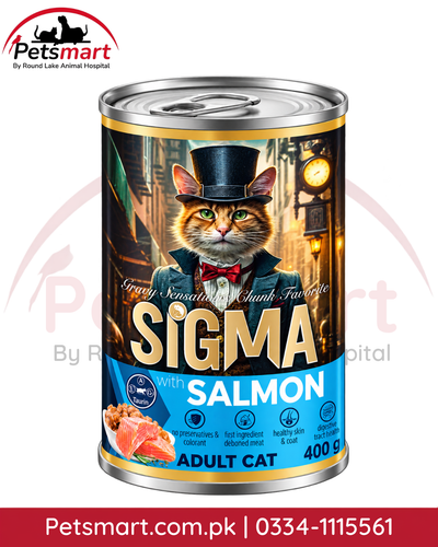 SIGMA BOSS Series Salmon Chunk Cat Food 400 g canned wet food for adult cats