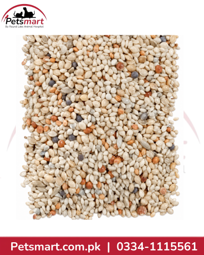 Close-up of mixed bird seeds for sparrows finches Gouldian and Bengalese birds