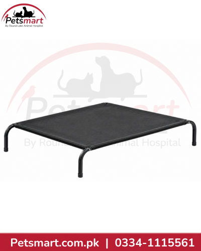 Small black elevated dog bed with a rectangular platform and small dog resting on it