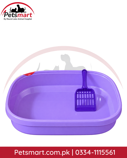 Small purple cat litter tray with scoop measuring 40 x 30 x 11 cm
