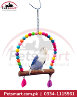 Small hanging bird swing with colourful beads wooden perch and metal chain