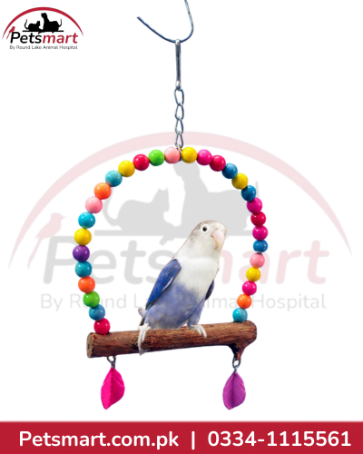Small hanging bird swing with colourful beads wooden perch and metal chain