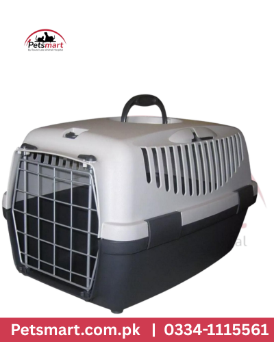 Small pink plastic Jet Box pet carrier with metal door ventilation slots and top handle