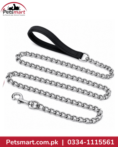 small silver metal chain dog leash with black loop handle and metal snap hook
