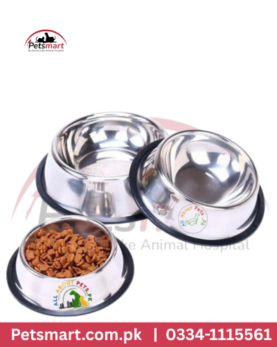 Small stainless steel pet food and water bowl with a silver finish and dark outer base.