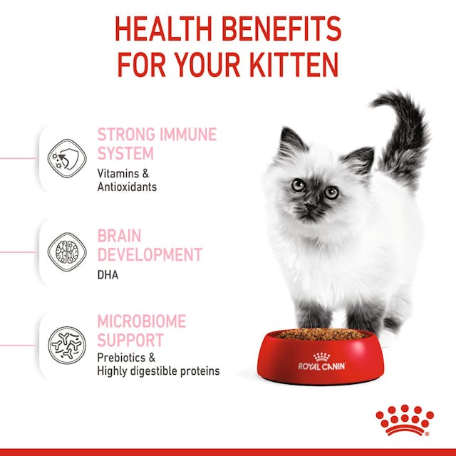 Royal Canin Kitten Dry Food