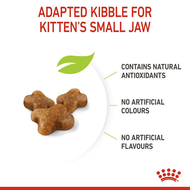 Royal Canin Kitten Dry Food