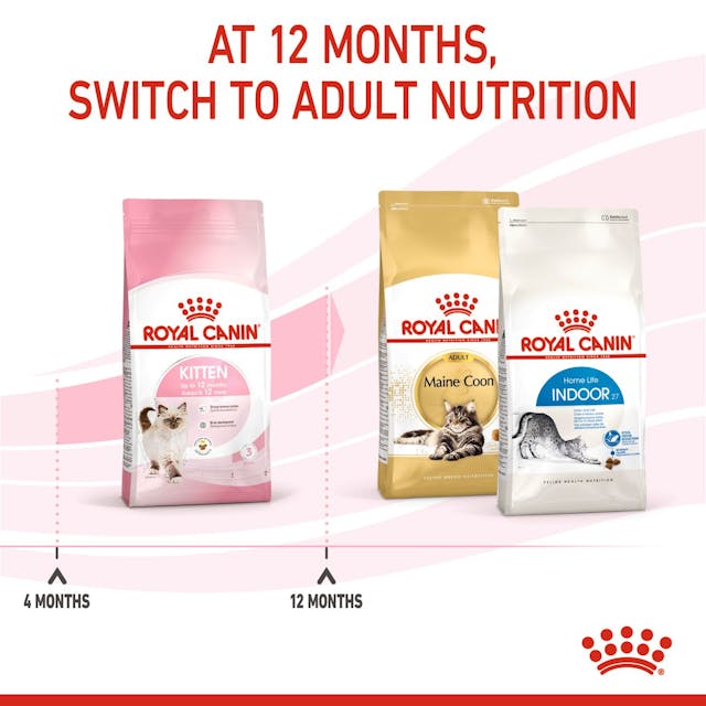 Royal Canin Kitten Dry Food