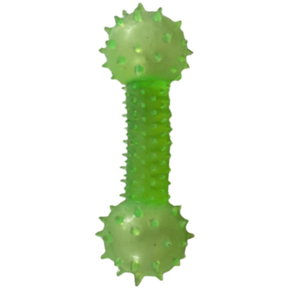 SPIKE DUMBLE TEATHER TOY