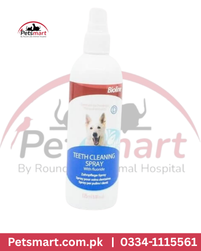 Bioline teeth cleaner