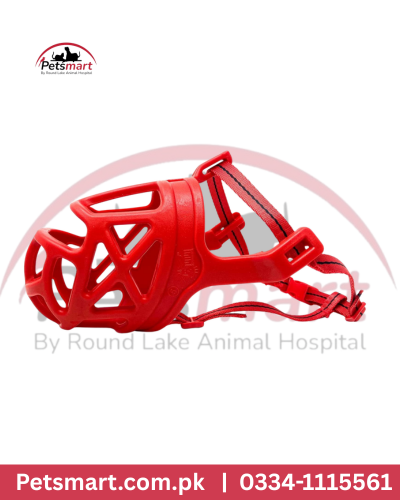 Red color muzzle Dogs